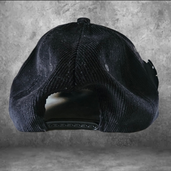 NWT/ Snapback Cap - Picture 3 of 3